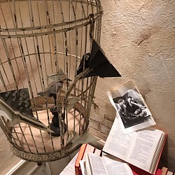 洋書
