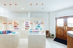 モールテックス